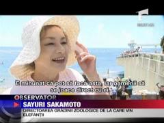 Cu elefantii la plaja