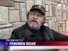 Fenomen bizar
