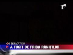 A fugit de frica ranitilor