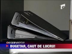 Bugetar, caut de lucru!