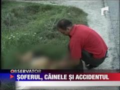 Cainele greseste, stapanul plateste!