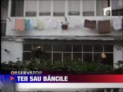Teii sau bancile
