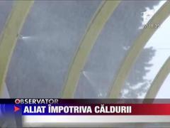 Aliat impotriva caldurii