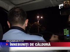 Innebuniti de canicula