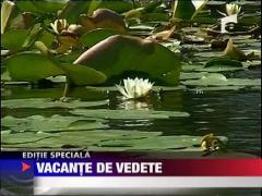 Vacante de vedete