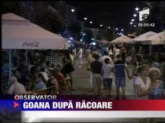 Goana dupa racoare