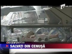 Salvati din cenusa