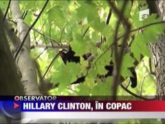 Hillary Clinton a ramas blocata intr-un copac!