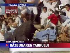 IMAGINI SOCANTE/ Razbunarea taurului