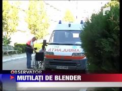 Mutilati de blender