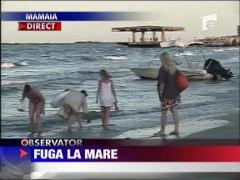 Observator de weekend