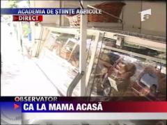 Mancare ca la mama acasa