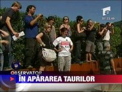 In apararea taurilor