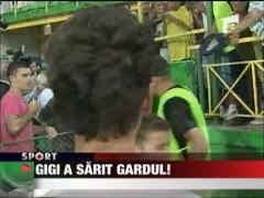 Becali a sarit gardul la Vaslui