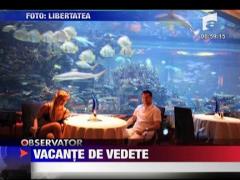 Vacante de vedete