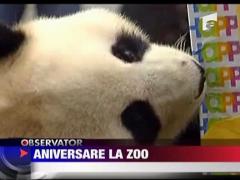Aniversare la Zoo