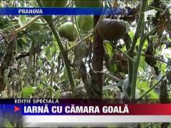 Iarna cu camara goala