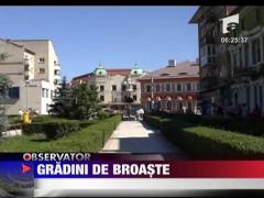 Gradini de broaste