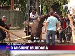 O misiune murdara
