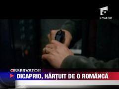 Dicaprio, hartuit de o romanca