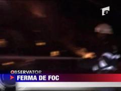 Observator de weekend