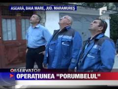Operatiunea "Porumbelul"