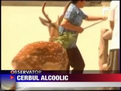Cerbul alcoolic