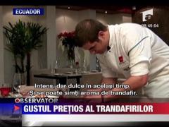 Gustul pretios al trandafirilor