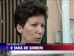 O tara de someri