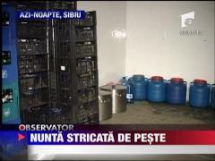 Toxiinfectie la nunta!