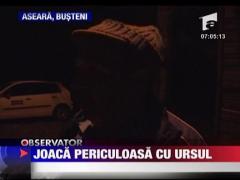 Joaca periculoasa cu ursul