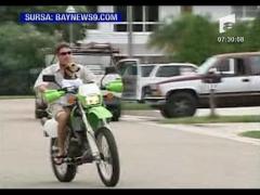 Chibi, vedeta din Florida