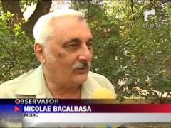 Strugurii, medicamente naturale