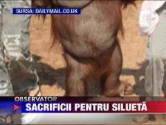 Sacrificii pentru silueta