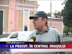 La pascut, in centrul orasului