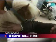 Terapie cu ... ponei