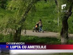 Lupta cu ametelile