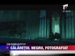 Calaretul negru, fotografiat