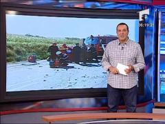 Statistica accidente