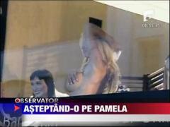 Pregatirile pentru petrecerea gazduita de Pamela Anderson