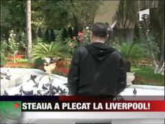 Steaua a plecat la Liverpool