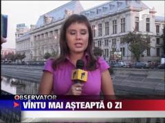 Sorin Ovidiu Vintu mai asteapta o zi