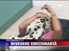 Revedere emotionanta intre o americanca si animalul ei de companie