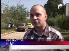 Zeci de caini comunitari au fost omorati cu injectii letale