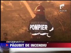 Incendiu puternic in Constanta
