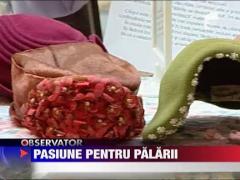 Pasiune pentru palarii