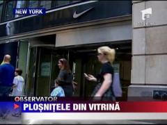 Plosnite intr-un magazin de fite din New York