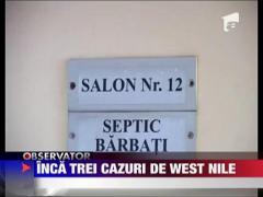 Inca trei cazuri de imbolnavire cu virusul West Nile