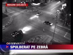 Spulberat pe zebra