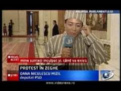 Oana Niculescu Mizil, protest in zeghe la Parlament